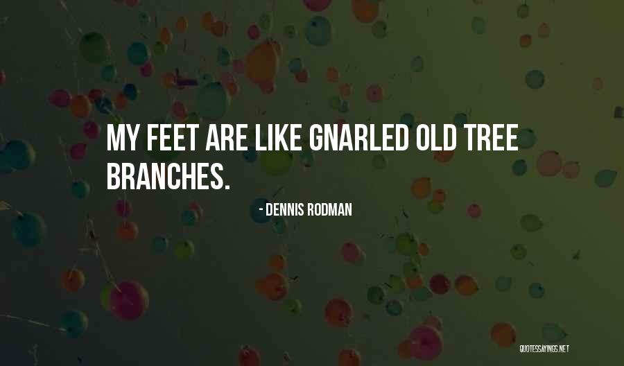 Feliksas Mendelsonas Quotes By Dennis Rodman Feliksas Mendelsonas Quotes By Dennis Rodman
