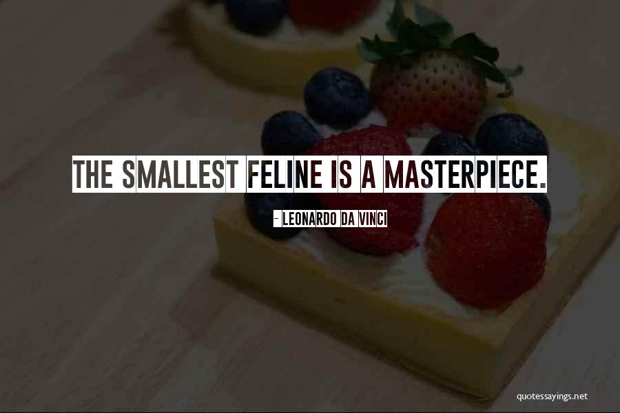 Feline Quotes By Leonardo Da Vinci Feline Quotes By Leonardo Da Vinci