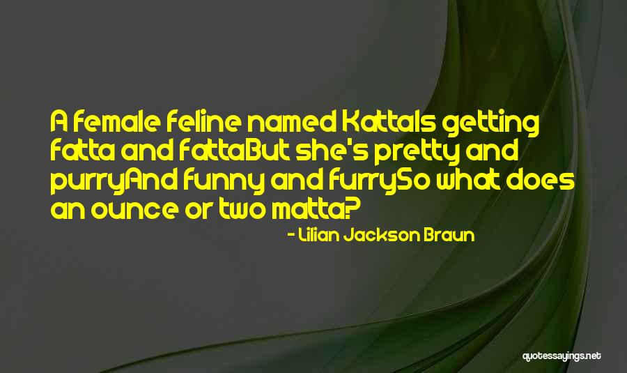 Feline Quotes By Lilian Jackson Braun Feline Quotes By Lilian Jackson Braun