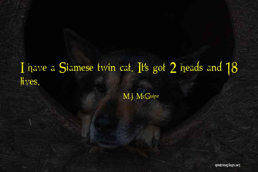 Feline Quotes By M.J. McGuire Feline Quotes By M.J. McGuire