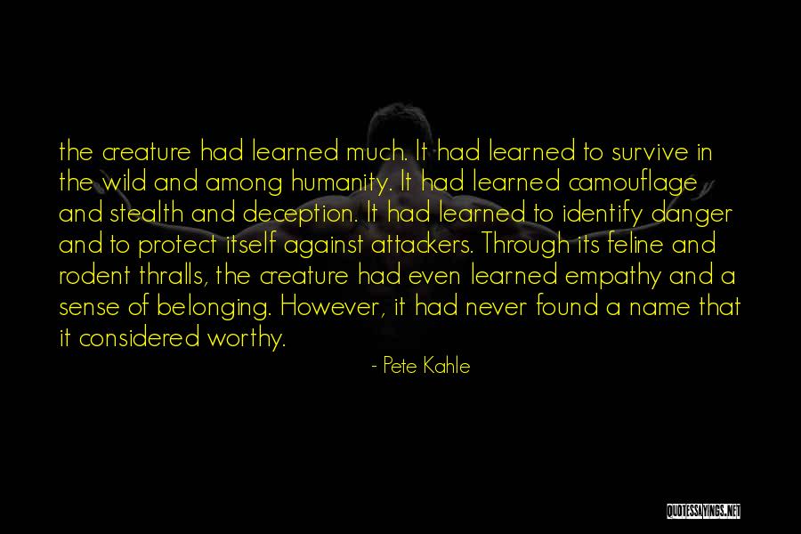 Feline Quotes By Pete Kahle Feline Quotes By Pete Kahle