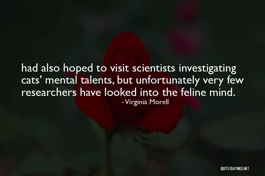 Feline Quotes By Virginia Morell Feline Quotes By Virginia Morell