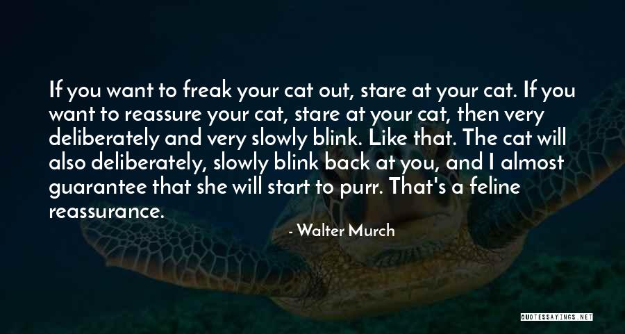Feline Quotes By Walter Murch Feline Quotes By Walter Murch