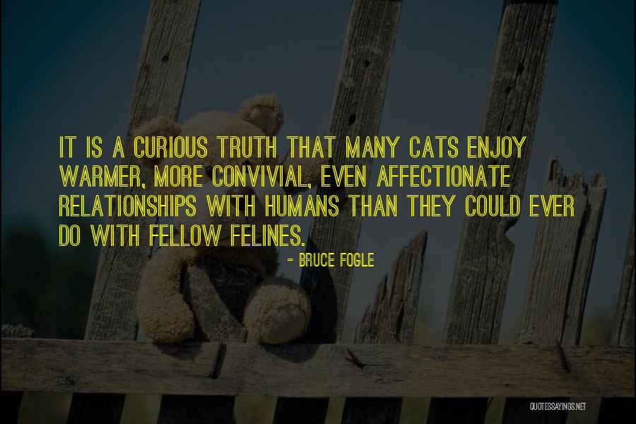 Felines Only Cat Quotes By Bruce Fogle Felines Only Cat Quotes By Bruce Fogle