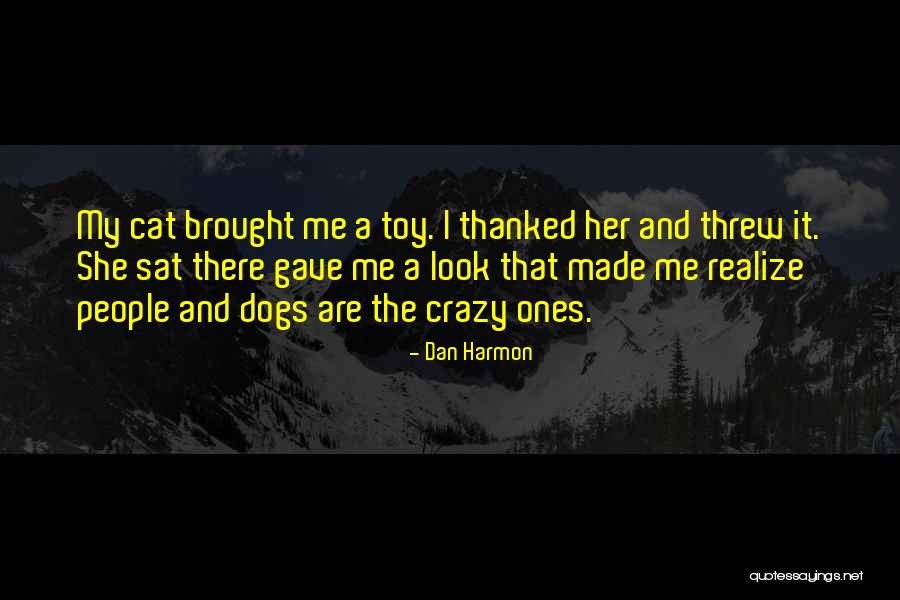 Felines Only Cat Quotes By Dan Harmon Felines Only Cat Quotes By Dan Harmon