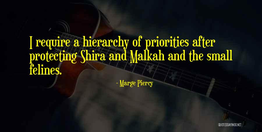 Felines Quotes By Marge Piercy Felines Quotes By Marge Piercy