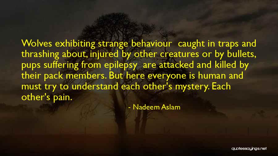 Felippe Mozer Quotes By Nadeem Aslam Felippe Mozer Quotes By Nadeem Aslam