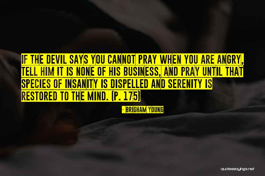 Felirina Quotes By Brigham Young Felirina Quotes By Brigham Young