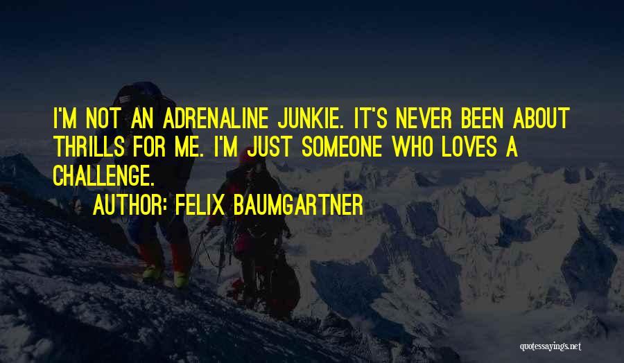 Felix Baumgartner Quotes 1318685