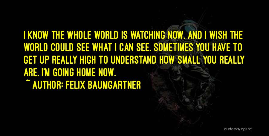 Felix Baumgartner Quotes 713471