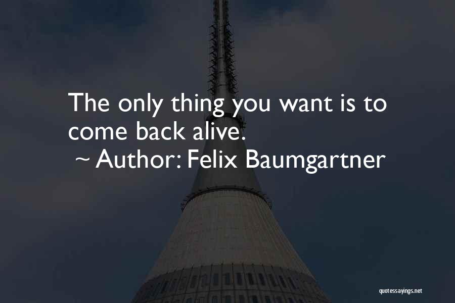 Felix Baumgartner Quotes 747514