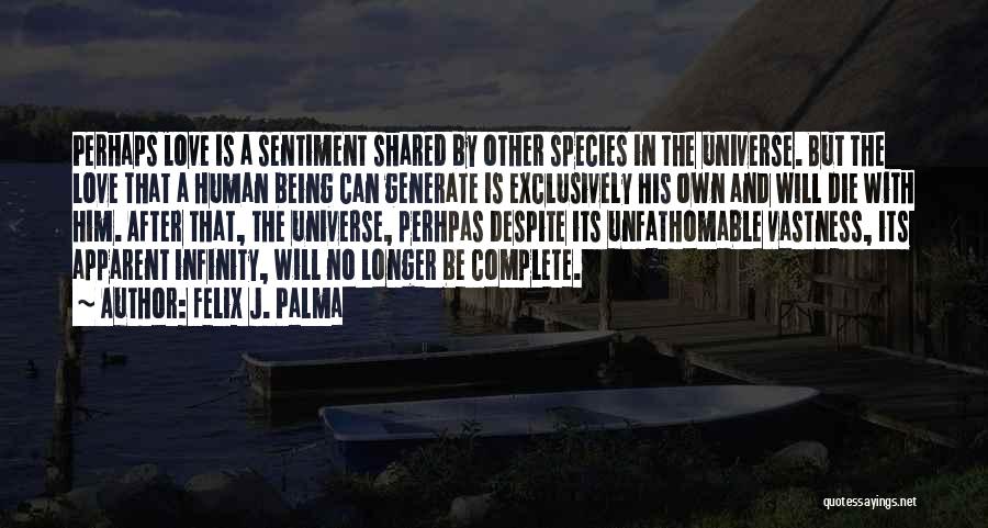 Felix J. Palma Quotes 1490198