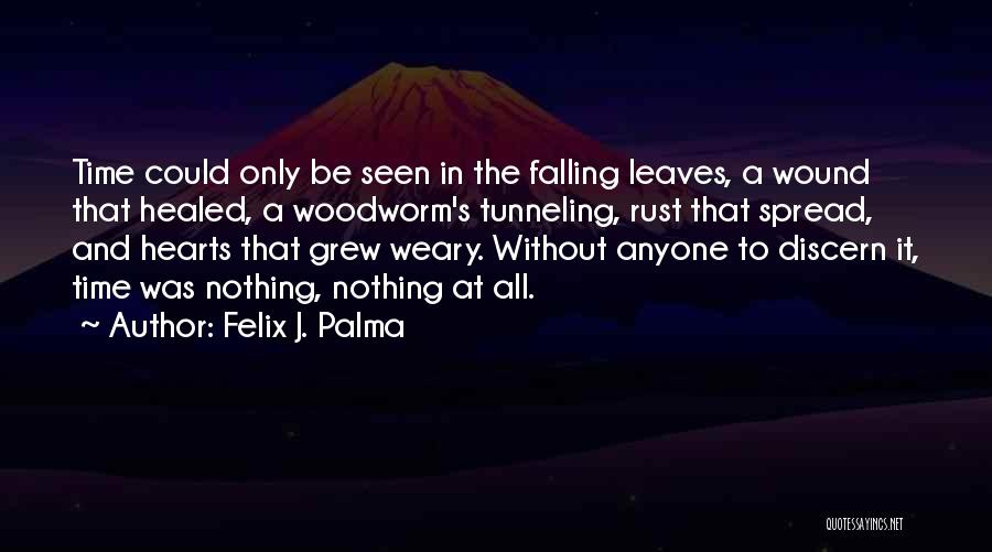 Felix J. Palma Quotes 1944806