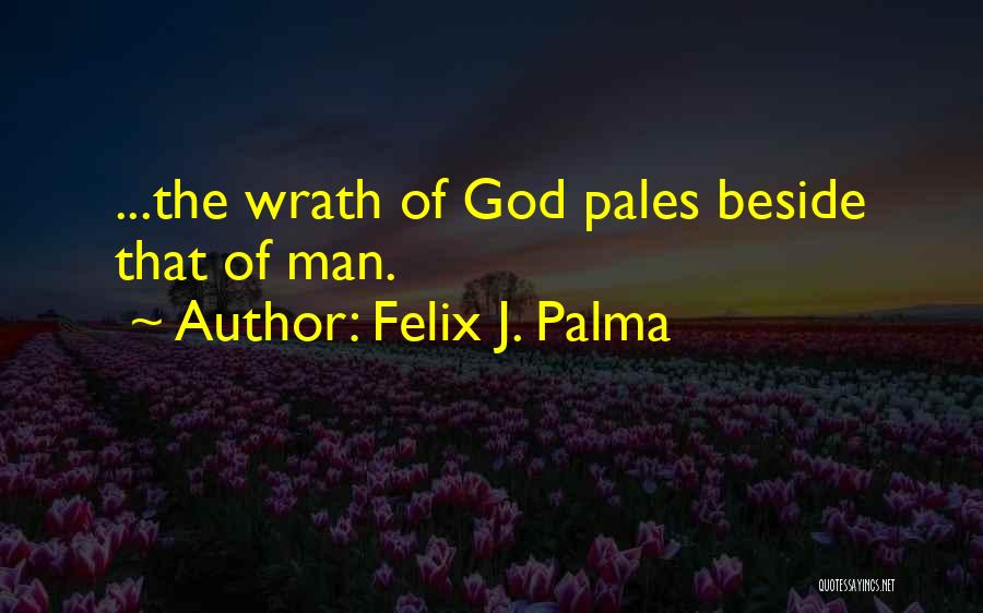 Felix J. Palma Quotes 2021561