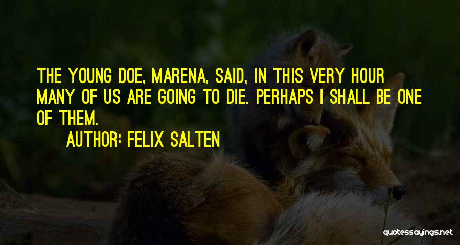 Felix Salten Quotes 1168802