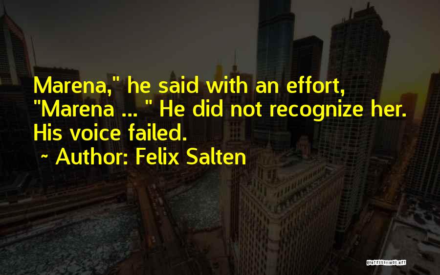 Felix Salten Quotes 153508