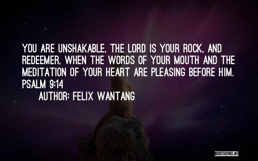 Felix Wantang Quotes 548613
