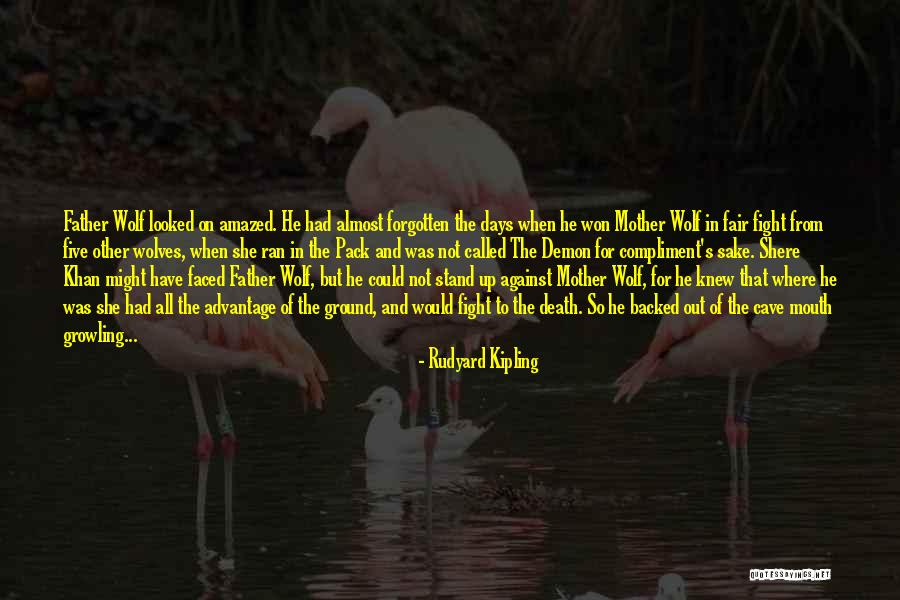 Feliz Dia De Accion De Gracias Quotes By Rudyard Kipling Feliz Dia De Accion De Gracias Quotes By Rudyard Kipling