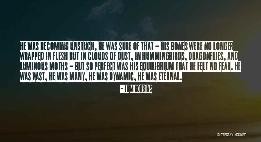 Feliz Semana Quotes By Tom Robbins Feliz Semana Quotes By Tom Robbins