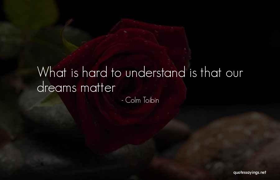 Felizardo Camilon Quotes By Colm Toibin Felizardo Camilon Quotes By Colm Toibin