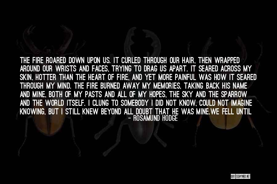 Fell Apart Quotes By Rosamund Hodge Fell Apart Quotes By Rosamund Hodge