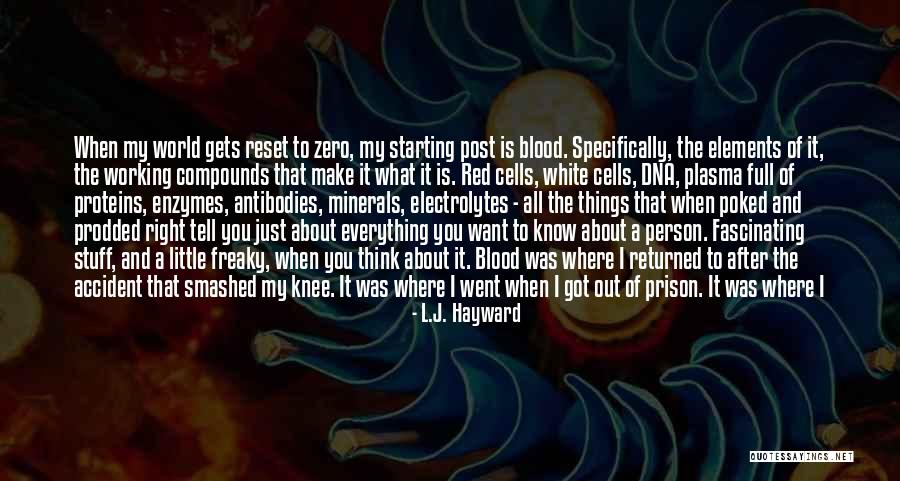Fell For You Quotes By L.J. Hayward Fell For You Quotes By L.J. Hayward