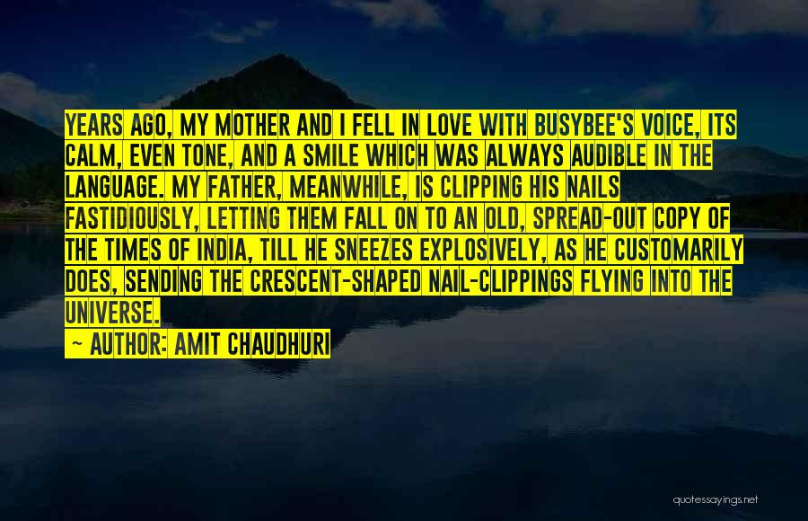 Fell Out Love Quotes By Amit Chaudhuri