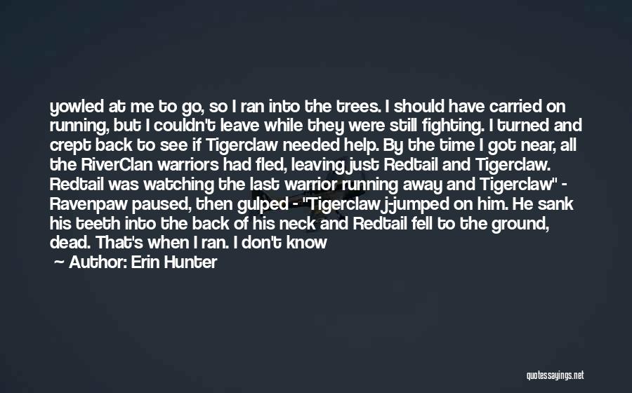 Fell Running Quotes By Erin Hunter