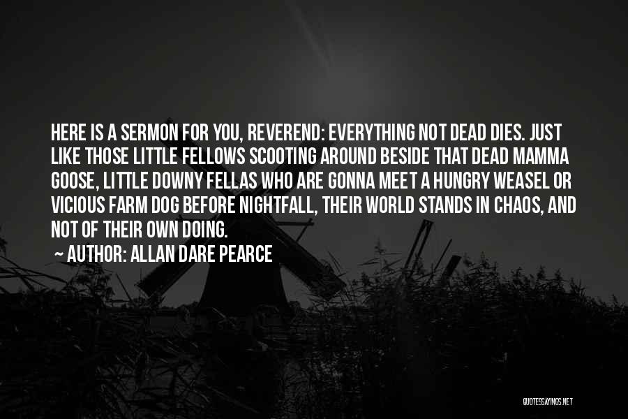 Fellas Quotes By Allan Dare Pearce