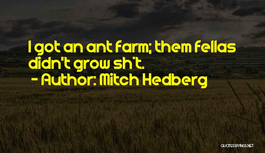 Fellas Quotes By Mitch Hedberg