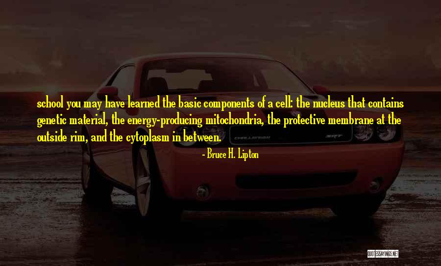 Fellini Film Quotes By Bruce H. Lipton Fellini Film Quotes By Bruce H. Lipton