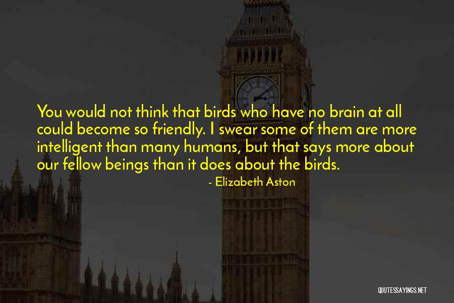 Fellow Beings Quotes By Elizabeth Aston Fellow Beings Quotes By Elizabeth Aston