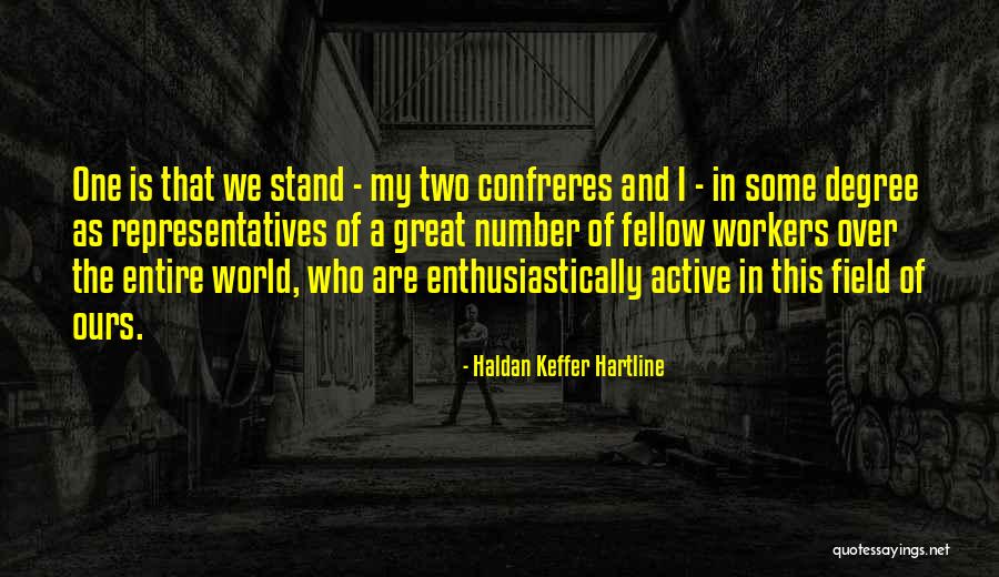 Fellow Workers Quotes By Haldan Keffer Hartline Fellow Workers Quotes By Haldan Keffer Hartline