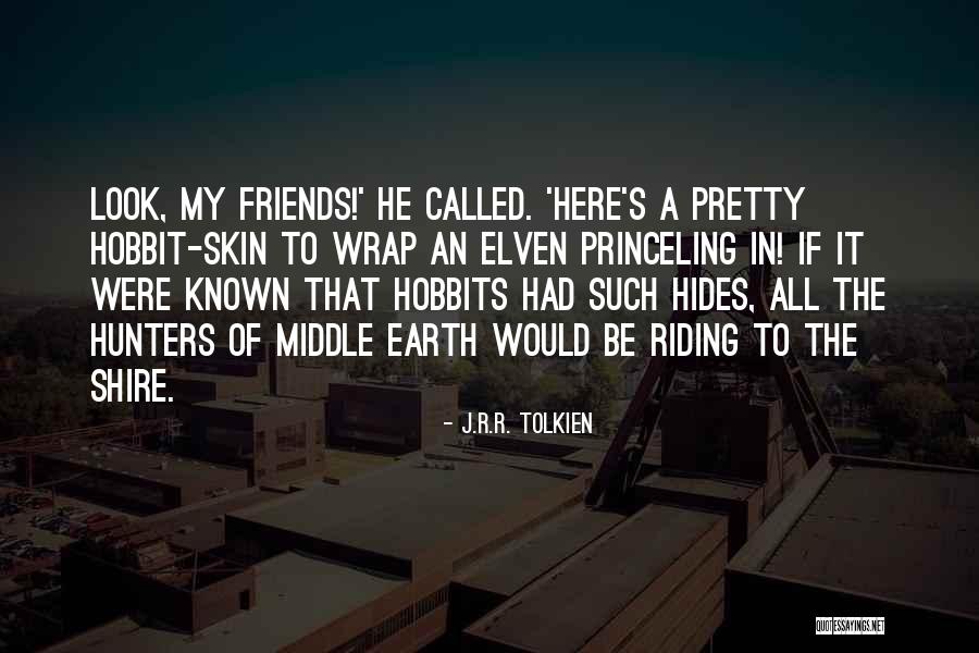 Fellowship Of The Ring Hobbit Quotes By J.R.R. Tolkien