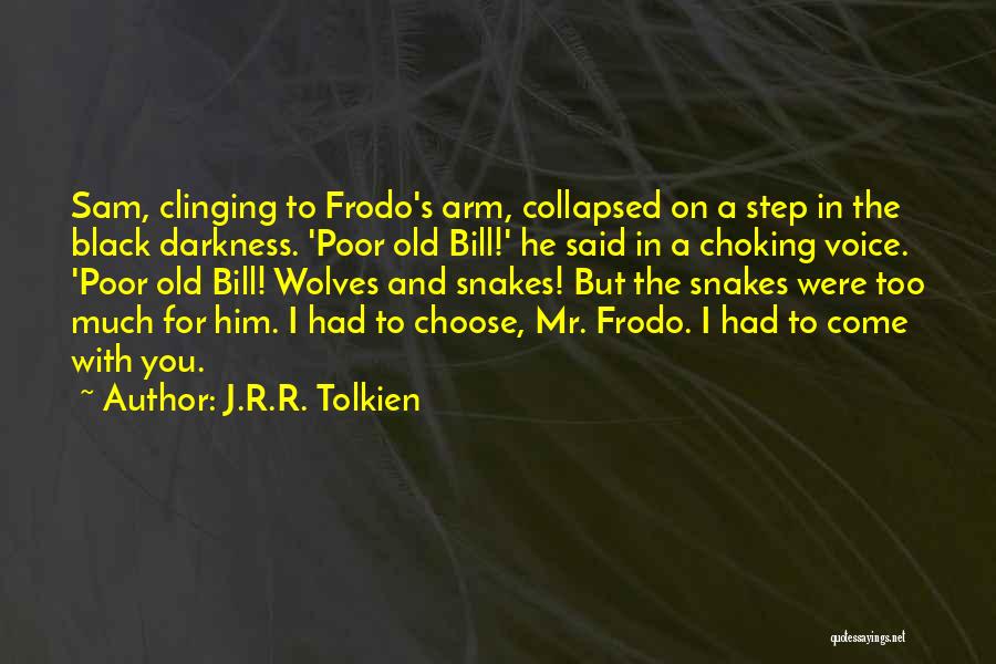 Fellowship Of The Ring Quotes By J.R.R. Tolkien