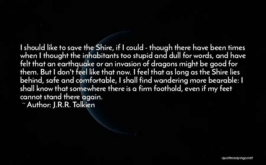 Fellowship Of The Ring Quotes By J.R.R. Tolkien