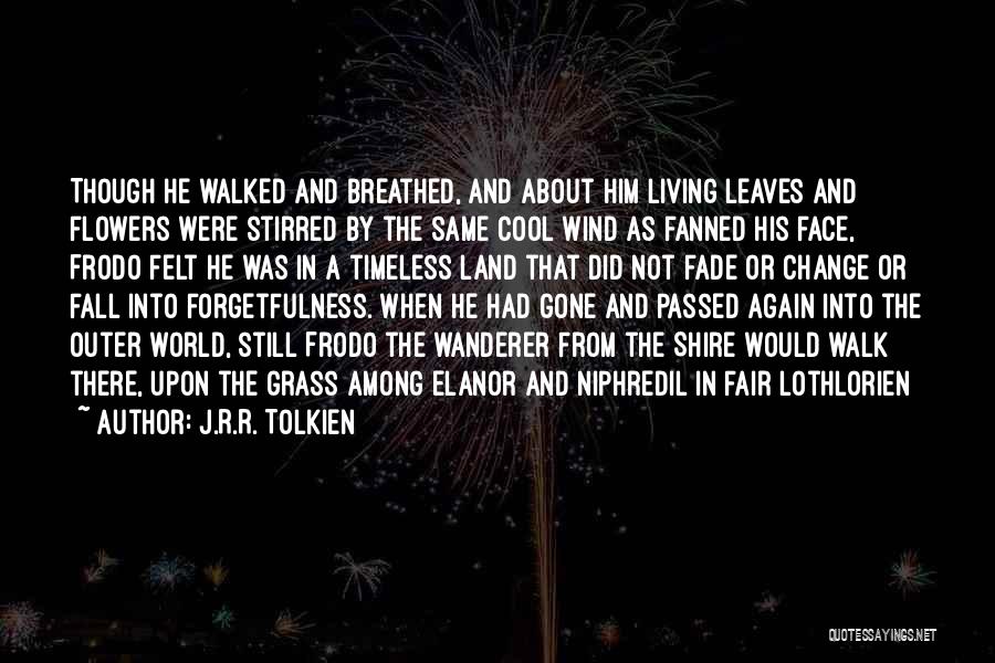 Fellowship Of The Ring Quotes By J.R.R. Tolkien