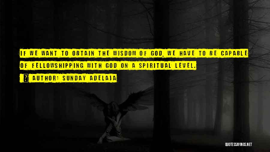 Fellowshipping Quotes By Sunday Adelaja