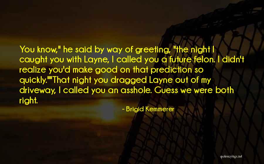 Felon Quotes By Brigid Kemmerer Felon Quotes By Brigid Kemmerer