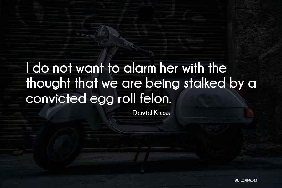 Felon Quotes By David Klass Felon Quotes By David Klass