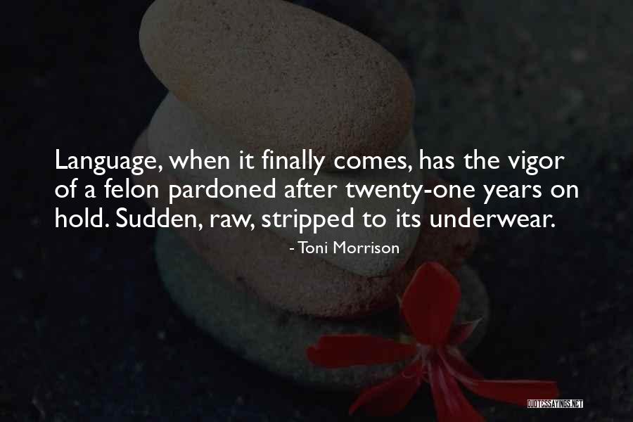 Felon Quotes By Toni Morrison Felon Quotes By Toni Morrison