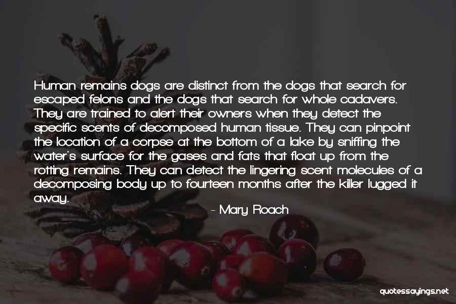 Felons Quotes By Mary Roach Felons Quotes By Mary Roach