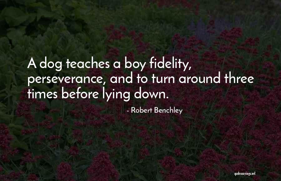 Felsefi Hikayeler Quotes By Robert Benchley Felsefi Hikayeler Quotes By Robert Benchley