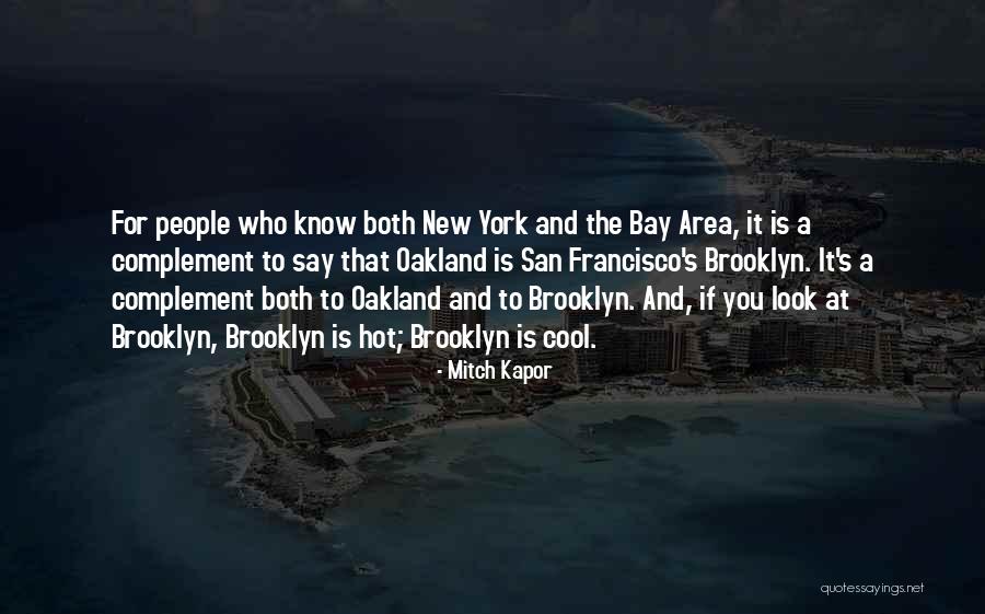 Felsh Quotes By Mitch Kapor Felsh Quotes By Mitch Kapor