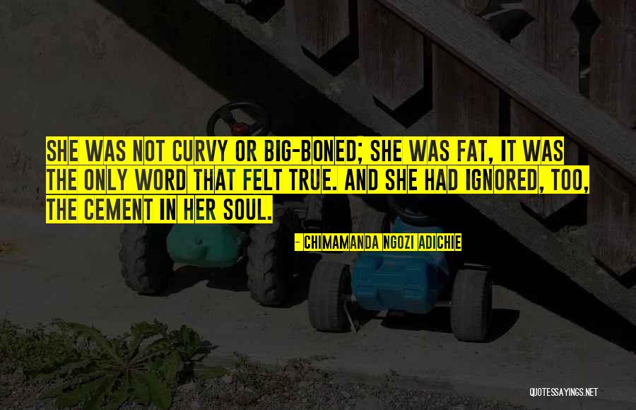 Felt And Fat Quotes By Chimamanda Ngozi Adichie Felt And Fat Quotes By Chimamanda Ngozi Adichie