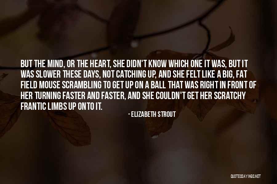 Felt And Fat Quotes By Elizabeth Strout Felt And Fat Quotes By Elizabeth Strout