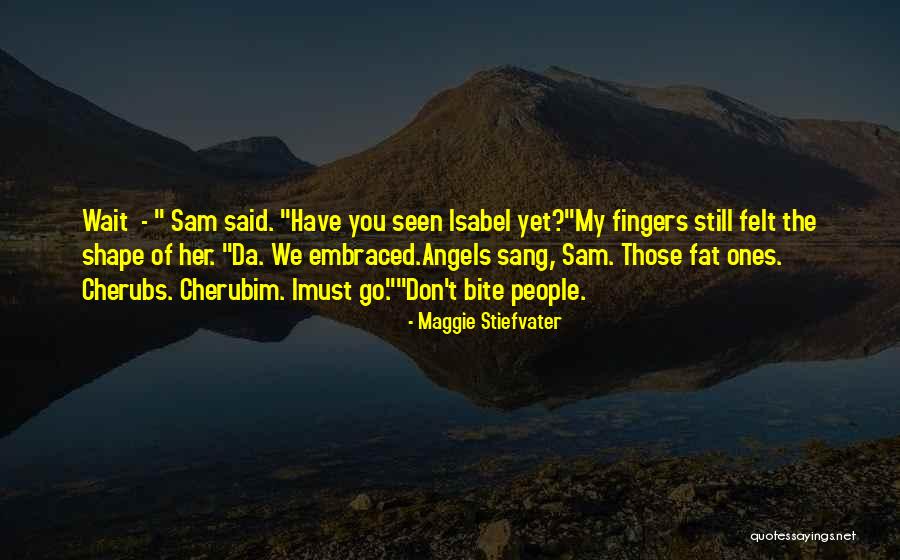 Felt And Fat Quotes By Maggie Stiefvater Felt And Fat Quotes By Maggie Stiefvater