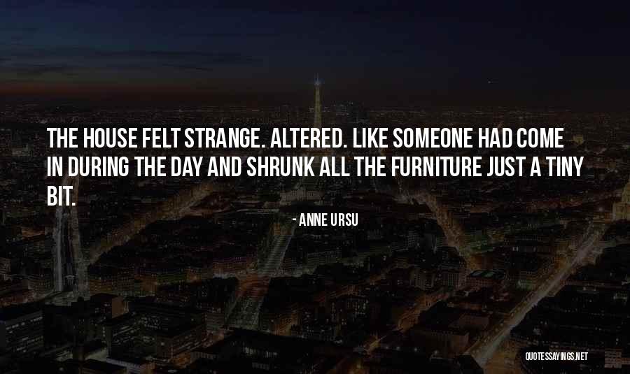 Felt For Furniture Quotes By Anne Ursu Felt For Furniture Quotes By Anne Ursu