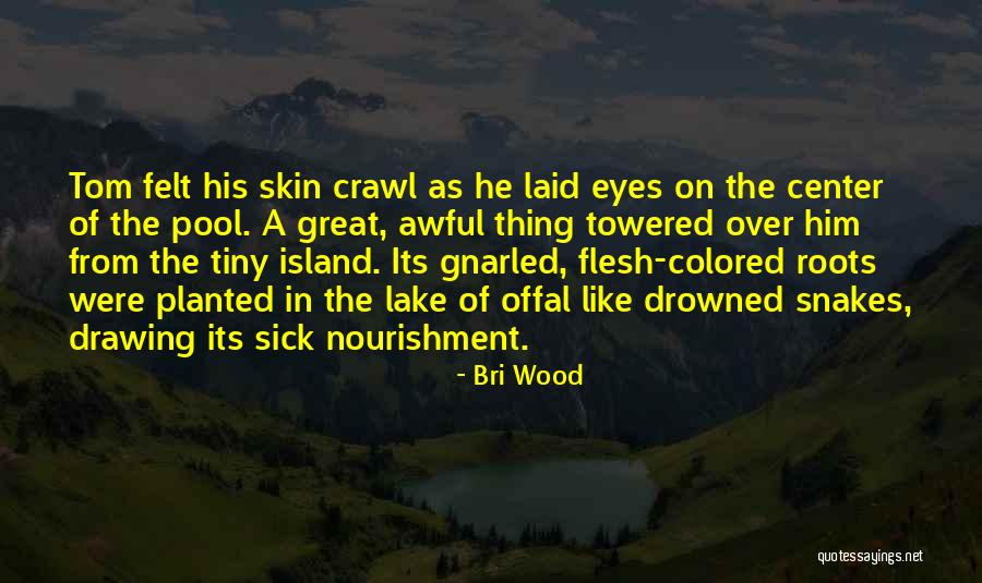 Felt For Pool Quotes By Bri Wood Felt For Pool Quotes By Bri Wood