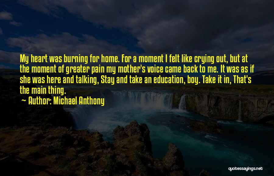 Felt Like Crying Quotes By Michael Anthony